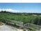 沖縄県国頭郡本部町 土地 228万円の競売物件 #9