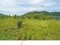 (値下げ) 青森県三戸郡南部町 諏訪ノ平駅10分 農地 89万円の競売物件 #12