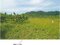 (値下げ) 青森県三戸郡南部町 諏訪ノ平駅10分 農地 89万円の競売物件 #9
