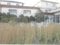 (値下げ) 福島県郡山市 安積永盛駅10分 戸建て 1,084万円の競売物件 #7