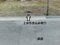 徳島県吉野川市 山瀬駅3分 土地 237万円の官公庁公売物件 #4