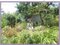 (値下げ) 静岡県浜松市浜名区 尾奈駅27分 農地 49万円の競売物件 #8