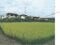 (値下げ) 兵庫県加古川市 尾上の松駅10分 土地 403万円の競売物件 #6