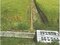 滋賀県長浜市 河毛駅 農地 138万円の競売物件 #2