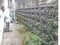 (値下げ) 奈良県香芝市 関屋駅10分 戸建て 506万円の競売物件 #4
