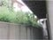 千葉県柏市 柏駅11分 土地 426万円の競売物件 #8