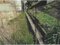 兵庫県尼崎市 猪名寺駅19分 土地 525万円の競売物件 #3