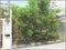 兵庫県宝塚市 逆瀬川駅3分 土地 700万円の競売物件 #5