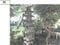 (値下げ) 徳島県三好郡東みよし町 阿波加茂駅2分 戸建て 474万円の競売物件 #20
