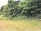 沖縄県国頭郡今帰仁村 戸建て 720万円の競売物件 #3