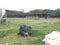 沖縄県国頭郡国頭村 農地 539万円の競売物件 #4