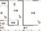 愛媛県西条市 壬生川駅 戸建て 219万円の競売物件 #2