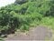 (値下げ) 和歌山県西牟婁郡上富田町 朝来駅 土地 91万円の競売物件 #2