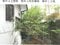 (値下げ) 岡山県笠岡市 笠岡駅6分 戸建て 268万円の競売物件 #4