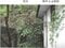 (値下げ) 岡山県笠岡市 笠岡駅6分 戸建て 268万円の競売物件 #5