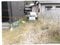宮崎県宮崎市 佐土原駅20分 戸建て 968万円の競売物件 #15