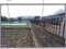 山梨県甲斐市 塩崎駅12分 戸建て 404万円の競売物件 #21