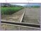 (値下げ) 山梨県西八代郡市川三郷町 市川大門駅10分 農地 110万円の競売物件 #12
