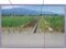 (値下げ) 山梨県西八代郡市川三郷町 市川大門駅10分 農地 110万円の競売物件 #14
