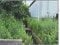 (値下げ) 広島県広島市安佐南区 祇園新橋北駅4分 農地 344万円の競売物件 #3