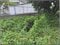 (値下げ) 広島県広島市安佐南区 祇園新橋北駅4分 農地 344万円の競売物件 #9