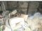 (値下げ) 兵庫県加古川市 宝殿駅 戸建て 68万円の競売物件 #8