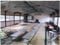 千葉県館山市 館山駅 戸建て 5,320万円の競売物件 #39
