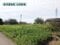 (値下げ) 富山県中新川郡立山町 寺田駅8分 土地 126万円の国税庁公売物件 #2