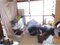 (値下げ) 島根県浜田市 下府駅 戸建て 209万円の競売物件 #27