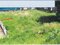 宮崎県延岡市 延岡駅21分 土地 331万円の競売物件 #4