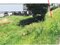 宮崎県延岡市 延岡駅21分 土地 331万円の競売物件 #5