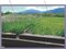(値下げ) 山梨県甲斐市 塩崎駅13分 農地 19万円の競売物件 #29