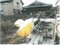 滋賀県甲賀市 油日駅 土地 109万円の競売物件 #12