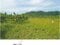 青森県三戸郡南部町 諏訪ノ平駅10分 農地 89万円の競売物件 #9