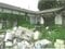 長野県安曇野市 穂高駅 戸建て 747万円の競売物件 #33