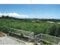 沖縄県国頭郡本部町 土地 240万円の競売物件 #9