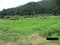 兵庫県丹波市 下滝駅17分 農地 5万円の官公庁公売物件 #2