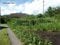 (値下げ) 岡山県真庭市 土地 75万円の官公庁公売物件 #10