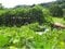 (値下げ) 島根県安来市 戸建て 88万円の競売物件 #6