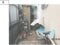 (値下げ) 徳島県板野郡藍住町 阿波川端駅21分 戸建て 381万円の競売物件 #5
