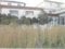 (値下げ) 福島県郡山市 安積永盛駅10分 戸建て 705万円の競売物件 #7
