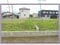 山梨県甲斐市 竜王駅15分 土地 1,312万円の競売物件 #8