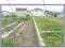 山梨県甲斐市 竜王駅15分 土地 1,312万円の競売物件 #9