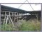 山梨県甲府市 南甲府駅3分 戸建て 965万円の競売物件 #10