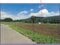 (値下げ) 山梨県南都留郡山中湖村 農地 9万円の競売物件 #4