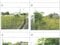 滋賀県高島市 新旭駅21分 土地 195万円の競売物件 #2