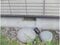 長野県大町市 南大町駅18分 戸建て 302万円の競売物件 #17