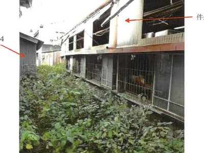 高知県須崎市 大間駅3分 一戸建て 1,120万円の競売物件 #10