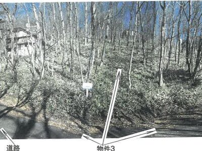 栃木県那須郡那須町 土地 9万円の競売物件 #1