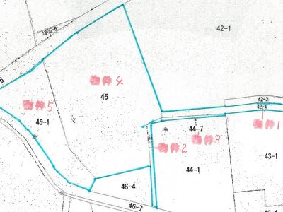 (値下げ) 静岡県掛川市 細谷駅18分 一戸建て 394万円の競売物件 #49